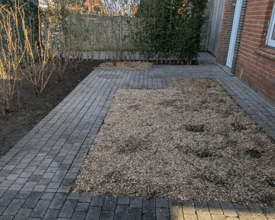 Professioneel tuinonderhoud Assebroek, West-Vlaanderen